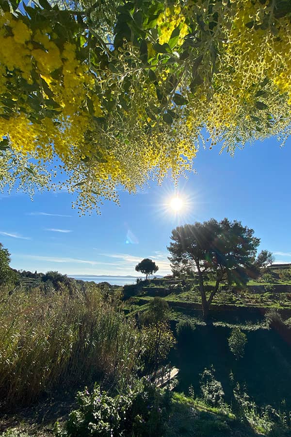 CARQUEIRANNE_DENTISTE