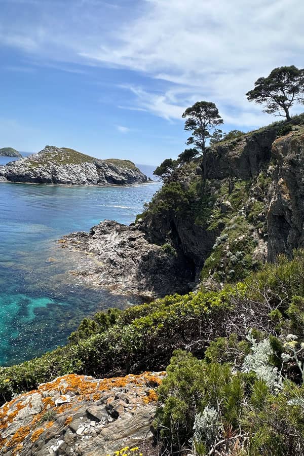 PORQUEROLLES_DENTISTE